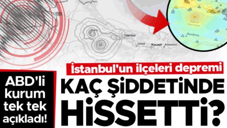 ABD’li kurum açıkladı: Zelzele hangi ilçede ne kadar hissedildi?