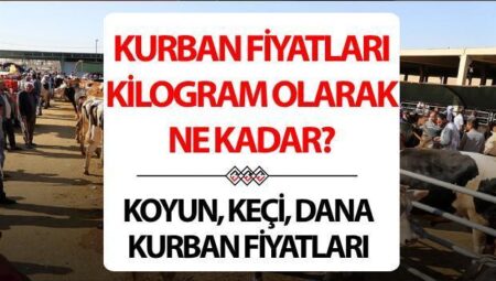 KURBAN FİYATLARI CANLI (KG) 2025: Koyun, keçi, küçükbaş, dana, büyükbaş kurban fiyatları ne kadar?