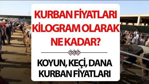 KURBAN FİYATLARI CANLI (KG) 2025: Koyun, keçi, küçükbaş, dana, büyükbaş kurban fiyatları ne kadar?