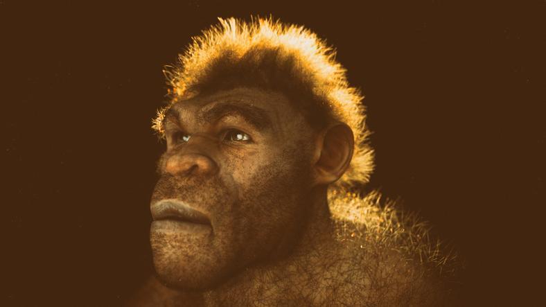 Neandertal ve insan yüzü neden birbirinden farklı? İhtimaller epeyce şaşırtan