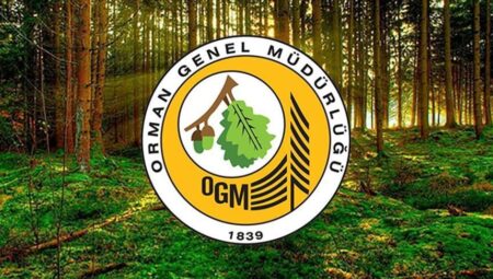 OGM işçi alımı müracaat sonuç ekranı! Sonuçlar açıklandı mı tarih muhakkak oldu mu? OGM 3477 işçi alımı müracaat sonuçları nereden öğrenilir?