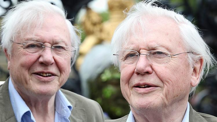 Ömrünü mesleğine adadı… 70 yıldır ekranların yıldızı… Son sözleri herkesi üzdü: Ben artık bu ömrün sonuna geldim, çabam size emanet