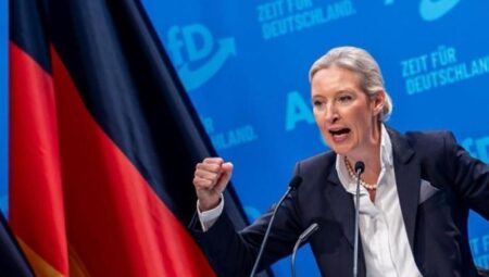 Almanya’da Anayasa Mahkemesi AfD’yi ‘aşırı sağcı oluşum’ olarak tanımladı