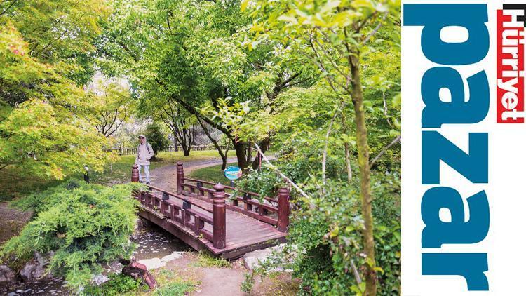 İstanbul’da huzurlu bir kaçış