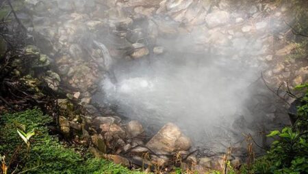 Ağaçlardaki ipucu volkanlar patlamadan evvel anlaşılmasını sağlıyor: NASA uyduları tespit etti