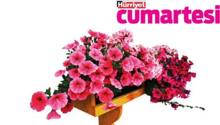Bitkilerle yeterli bir münasebet kurmak için…