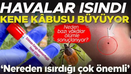 Keneler can almaya devam ediyor| Bilhassa boyun bölgesinden ısırırsa çok daha riskli! Uzmanlar Karadeniz ve İç Anadolu’ya dikkat çekiyor