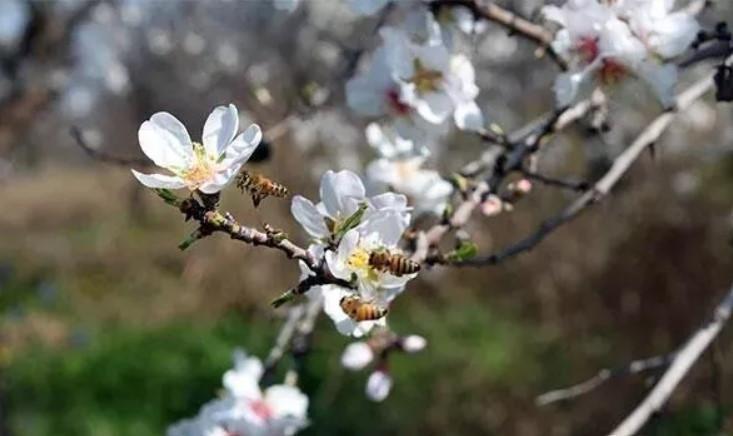 Nevruz Bayramı resmi tatil mi oldu? Nevruz Bayramı ne vakit kutlanır?