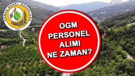 Orman Genel Müdürlüğü 3477 işçi alımı sonuçları ne vakit açıklanacak, açıklandı mı? | OGM emekçi alımı sonuç sorgulama ekranı ogm.gov.tr!