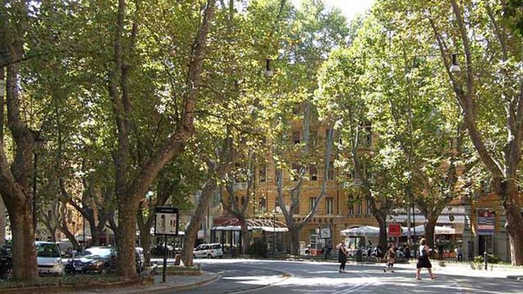 Roma’da enteresan olay! Bir turist, skuteri ile tarihi eser taşırken yakalandı