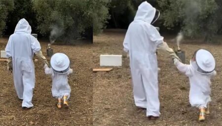 Bir vakitler saraylarda yaşayan bir prensesti… Artık küçük kızıyla peteklerden bal topluyor