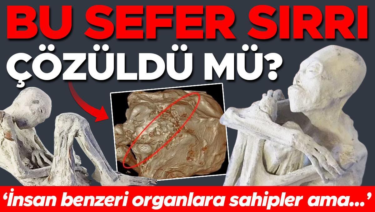 Çölde başlayan gizemli öykü bilimi karıştırdı: Bu sefer sırrı çözüldü mü? ‘İnsan gibisi organlara sahipler ancak…’