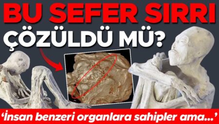 Çölde başlayan gizemli öykü bilimi karıştırdı: Bu sefer sırrı çözüldü mü? ‘İnsan gibisi organlara sahipler fakat…’