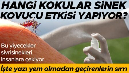 Yaz aylarını sivrisineklere yem olmadan geçirenlerin sırrı ne? | Hangi kokular sinek kovucu tesiri yapıyor? Bu yiyecekler sinekleri insanlara çekiyor